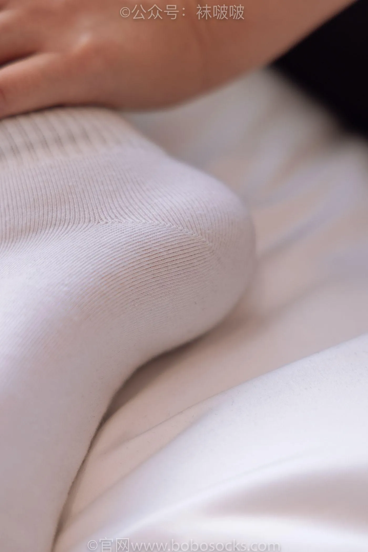 [BoBoSocks袜啵啵]NO.059 砂糖-AJ板鞋、白棉袜、裸足 [142P]插图3